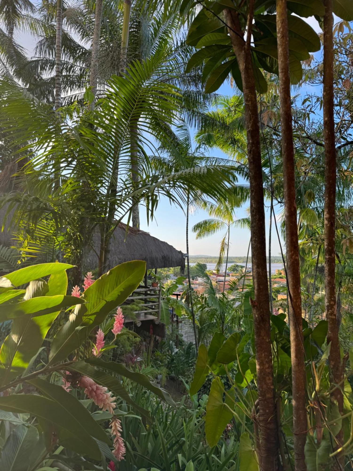 איטה קרה Hostel Zen - Casa Na Floresta מראה חיצוני תמונה
